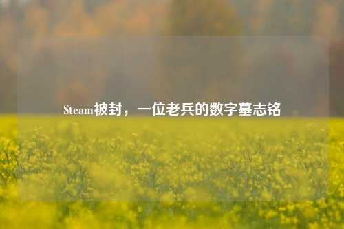 Steam被封，一位老兵的数字墓志铭