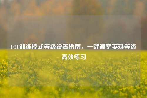 LOL训练模式等级设置指南，一键调整英雄等级高效练习