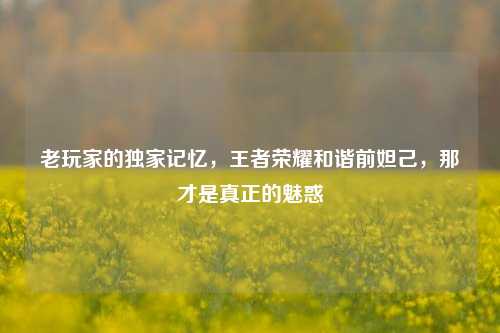 老玩家的独家记忆，王者荣耀和谐前妲己，那才是真正的魅惑