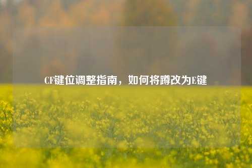 CF键位调整指南，如何将蹲改为E键
