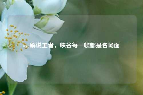 ave解说王者，峡谷每一帧都是名场面