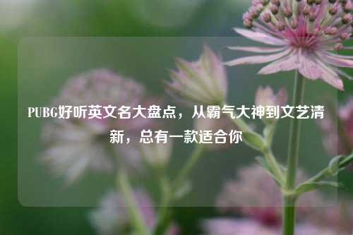 PUBG好听英文名大盘点,从霸气大神到文艺清新,总有一款适合你