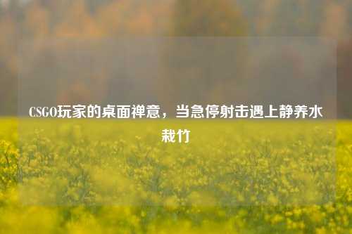 CSGO玩家的桌面禅意，当急停射击遇上静养水栽竹