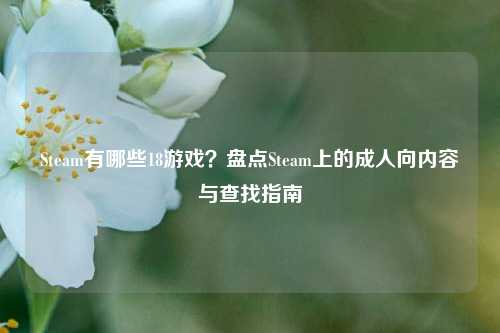 Steam有哪些18游戏？盘点Steam上的成人向内容与查找指南