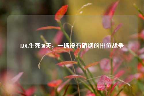 LOL生死30天，一场没有硝烟的排位战争