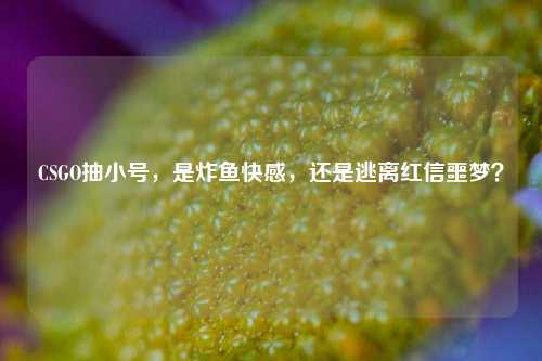 CSGO抽小号，是炸鱼快感，还是逃离红信噩梦？