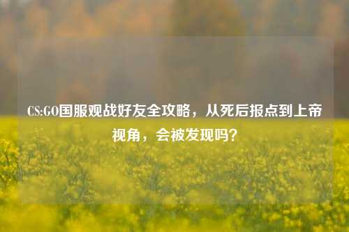 CS:GO国服观战好友全攻略，从死后报点到上帝视角，会被发现吗？