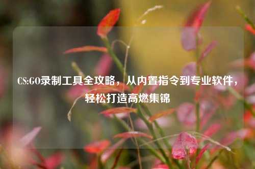 CS:GO录制工具全攻略，从内置指令到专业软件，轻松打造高燃集锦