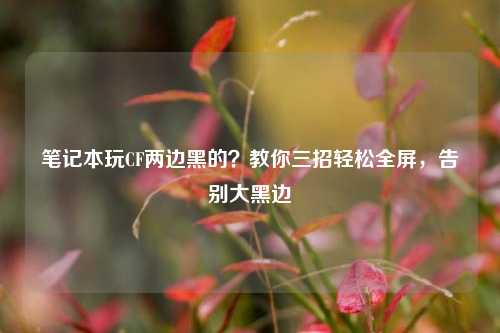 笔记本玩CF两边黑的？教你三招轻松全屏，告别大黑边