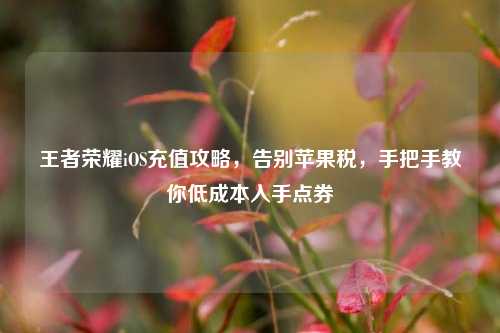 王者荣耀iOS充值攻略，告别苹果税，手把手教你低成本入手点券