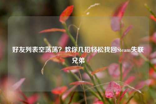 好友列表空荡荡？教你几招轻松找回Steam失联兄弟