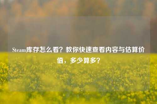 Steam库存怎么看？教你快速查看内容与估算价值，多少算多？