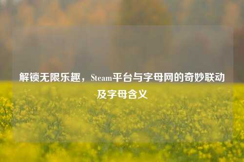 解锁无限乐趣，Steam平台与字母网的奇妙联动及字母含义