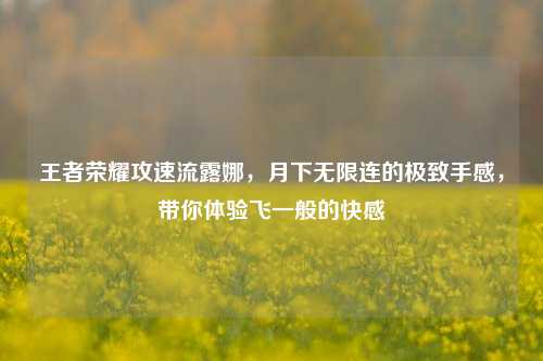 王者荣耀攻速流露娜,月下无限连的极致手感,带你体验飞一般的快感