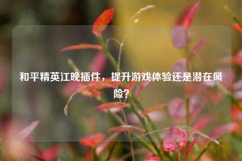 和平精英江晚插件，提升游戏体验还是潜在风险？