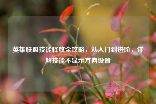 英雄联盟技能释放全攻略，从入门到进阶，详解技能不显示方向设置