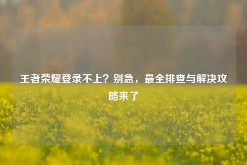 王者荣耀登录不上？别急，最全排查与解决攻略来了