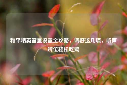 和平精英音量设置全攻略，调好这几项，听声辨位轻松吃鸡