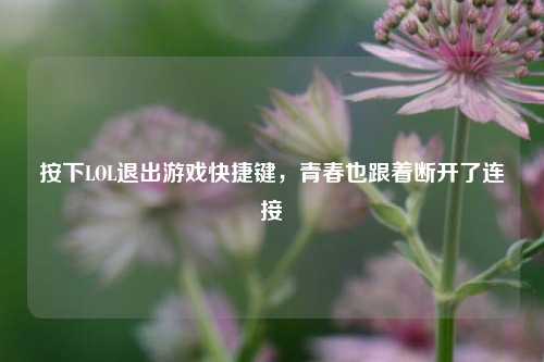 按下LOL退出游戏快捷键，青春也跟着断开了连接