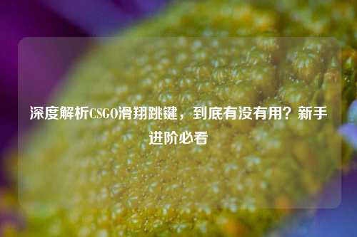 深度解析CSGO滑翔跳键，到底有没有用？新手进阶必看