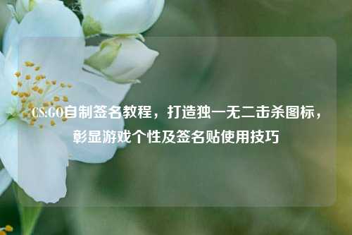 CS:GO自制签名教程，打造独一无二击杀图标，彰显游戏个性及签名贴使用技巧