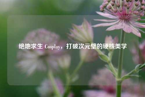 绝地求生 Cosplay,打破次元壁的硬核美学
