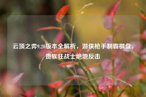云顶之弈9.20版本全解析,游侠枪手制霸棋盘,贵族狂战士绝地反击