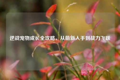 逆战宠物成长全攻略，从萌新入手到战力飞跃