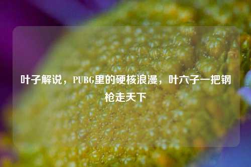 叶子解说，PUBG里的硬核浪漫，叶六子一把钢枪走天下