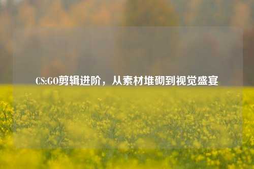 CS:GO剪辑进阶,从素材堆砌到视觉盛宴