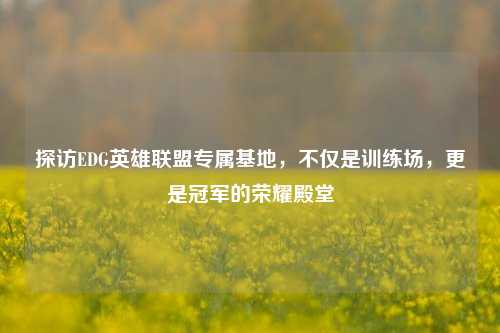 探访EDG英雄联盟专属基地,不仅是训练场,更是冠军的荣耀殿堂
