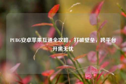 PUBG安卓苹果互通全攻略，打破壁垒，跨平台开黑无忧