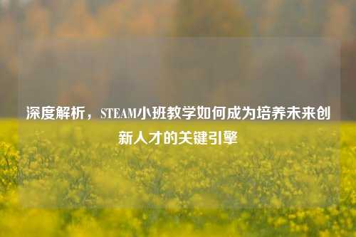 深度解析,STEAM小班教学如何成为培养未来创新人才的关键引擎