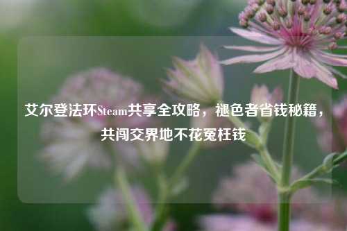艾尔登法环Steam共享全攻略,褪色者省钱秘籍,共闯交界地不花冤枉钱