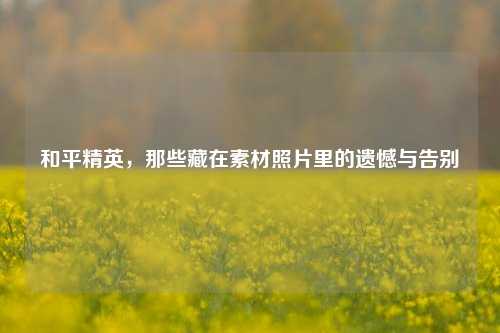 和平精英，那些藏在素材照片里的遗憾与告别