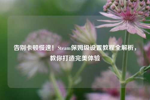告别卡顿慢速！Steam保姆级设置教程全解析，教你打造完美体验
