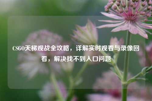 CSGO天梯观战全攻略，详解实时观看与录像回看，解决找不到入口问题