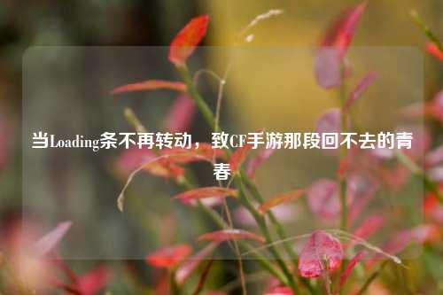 当Loading条不再转动，致CF手游那段回不去的青春
