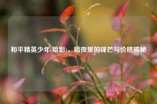 和平精英少年(暗影)，暗夜里的锋芒与价格揭秘