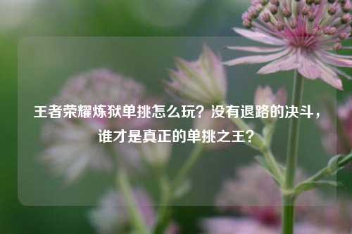 王者荣耀炼狱单挑怎么玩？没有退路的决斗，谁才是真正的单挑之王？