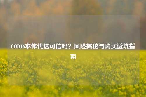 COD16本体代送可信吗？风险揭秘与购买避坑指南
