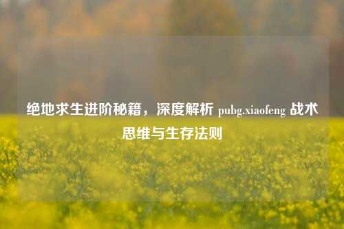 绝地求生进阶秘籍，深度解析 pubg.xiaofeng 战术思维与生存法则