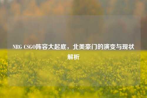 NRG CSGO阵容大起底，北美豪门的演变与现状解析