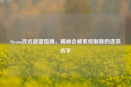 Steam改名避雷指南，揭秘会被系统制裁的违禁名字
