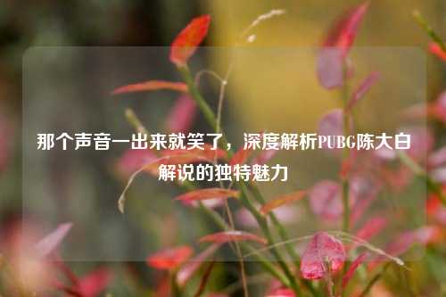 那个声音一出来就笑了，深度解析PUBG陈大白解说的独特魅力