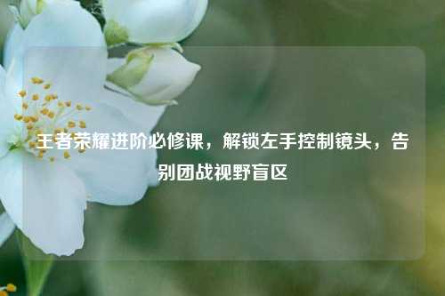 王者荣耀进阶必修课，解锁左手控制镜头，告别团战视野盲区