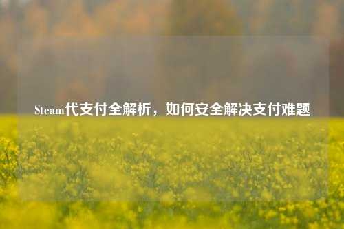 Steam代支付全解析，如何安全解决支付难题