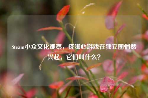 Steam小众文化观察，挠脚心游戏在独立圈悄然兴起，它们叫什么？
