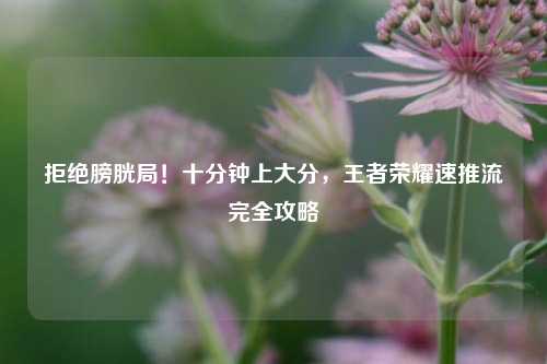 拒绝膀胱局！十分钟上大分，王者荣耀速推流完全攻略