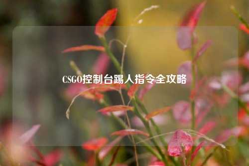 CSGO控制台踢人指令全攻略